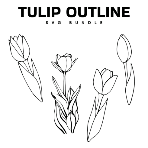 Tulip outline svg bundle, main picture 1100x1100.