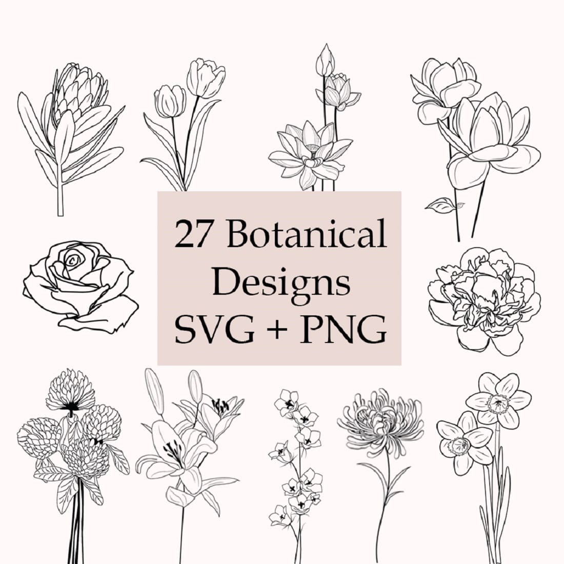 Botanical SVG image on white baclground, main picture 1100x1100.