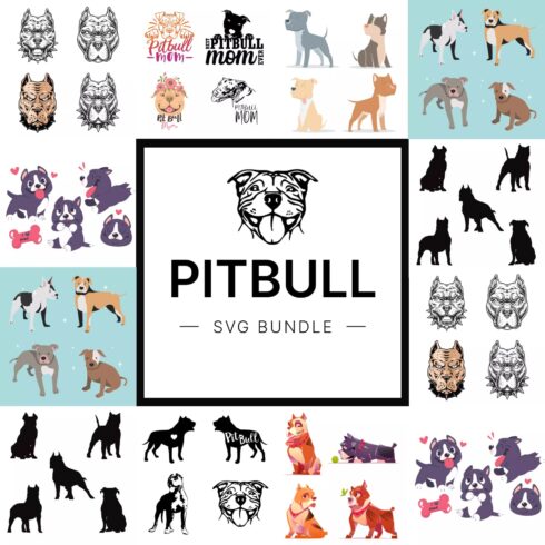 Pitbull SVG bundle, first picture 1500x1500.