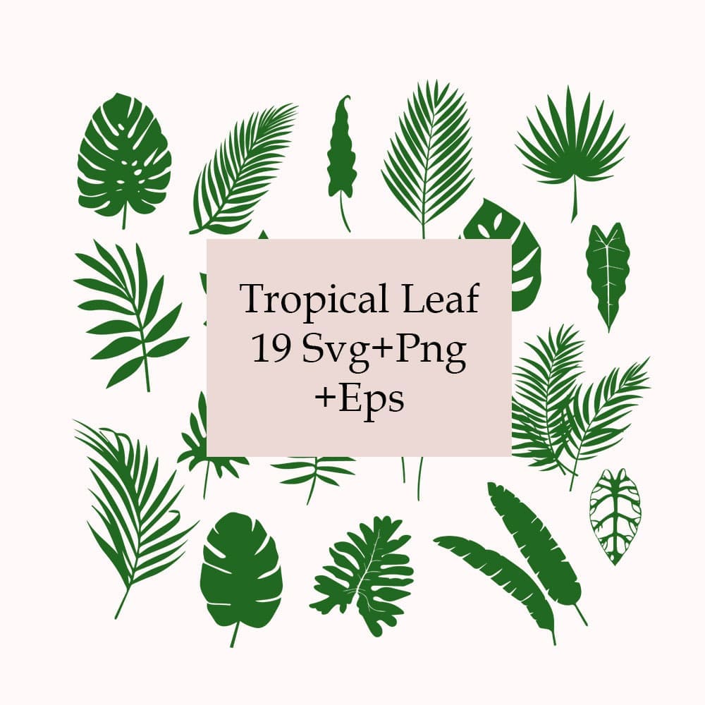 Tropical leaves SVG bundle tropical leaf svg monstera svg banana leaf svg palm leaf svg fern svg cut file for cricut hibicus flowerb 691