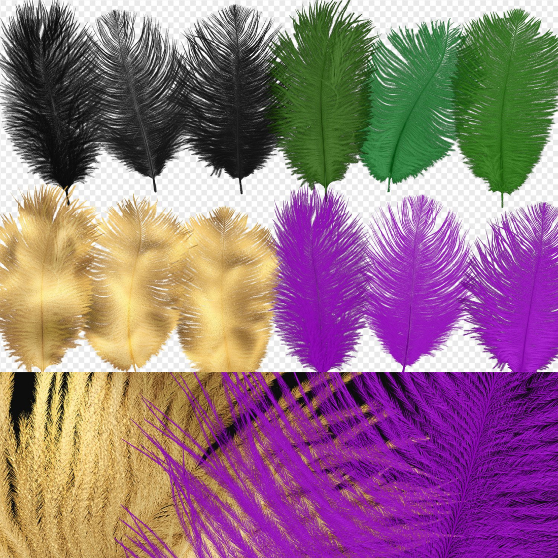 Images with mardi gras ostrich feathers.