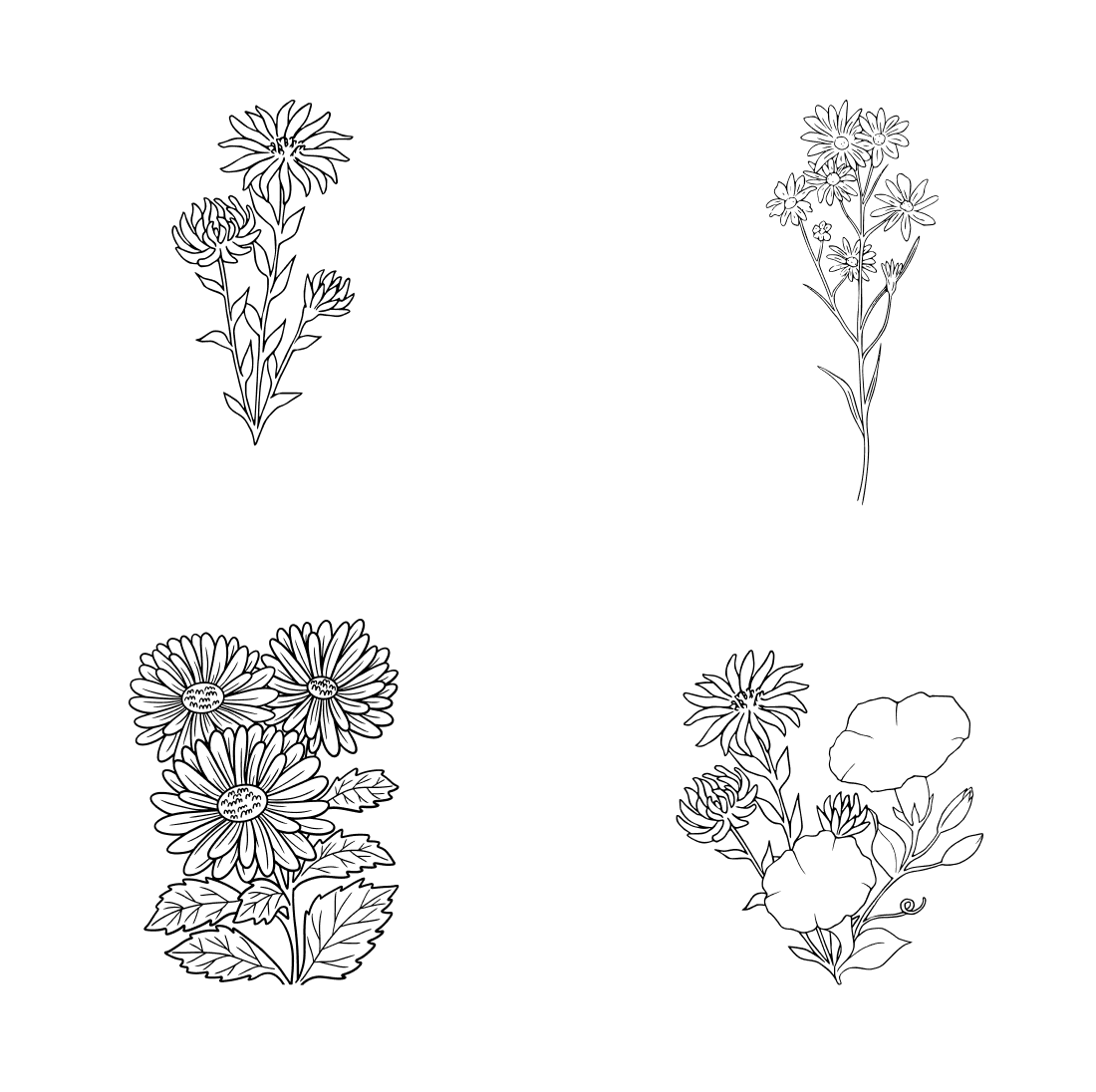 Images with aster flower bundle.