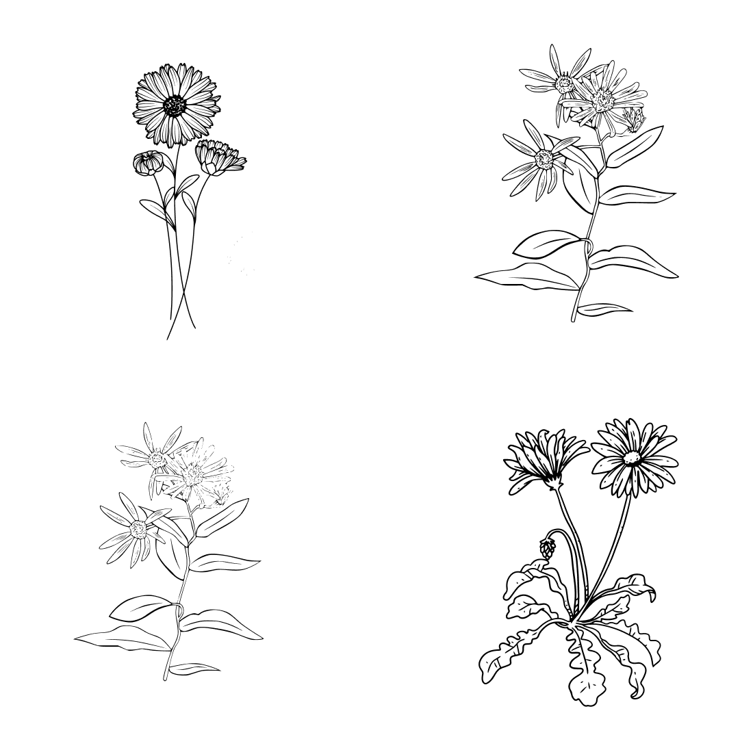 ArtStation - Carnation and Aster Tattoo - Birth Flower Tattoo
