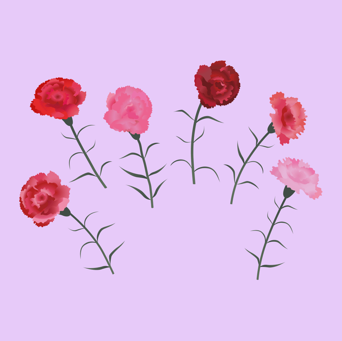 Watercolor red carnations SVG.