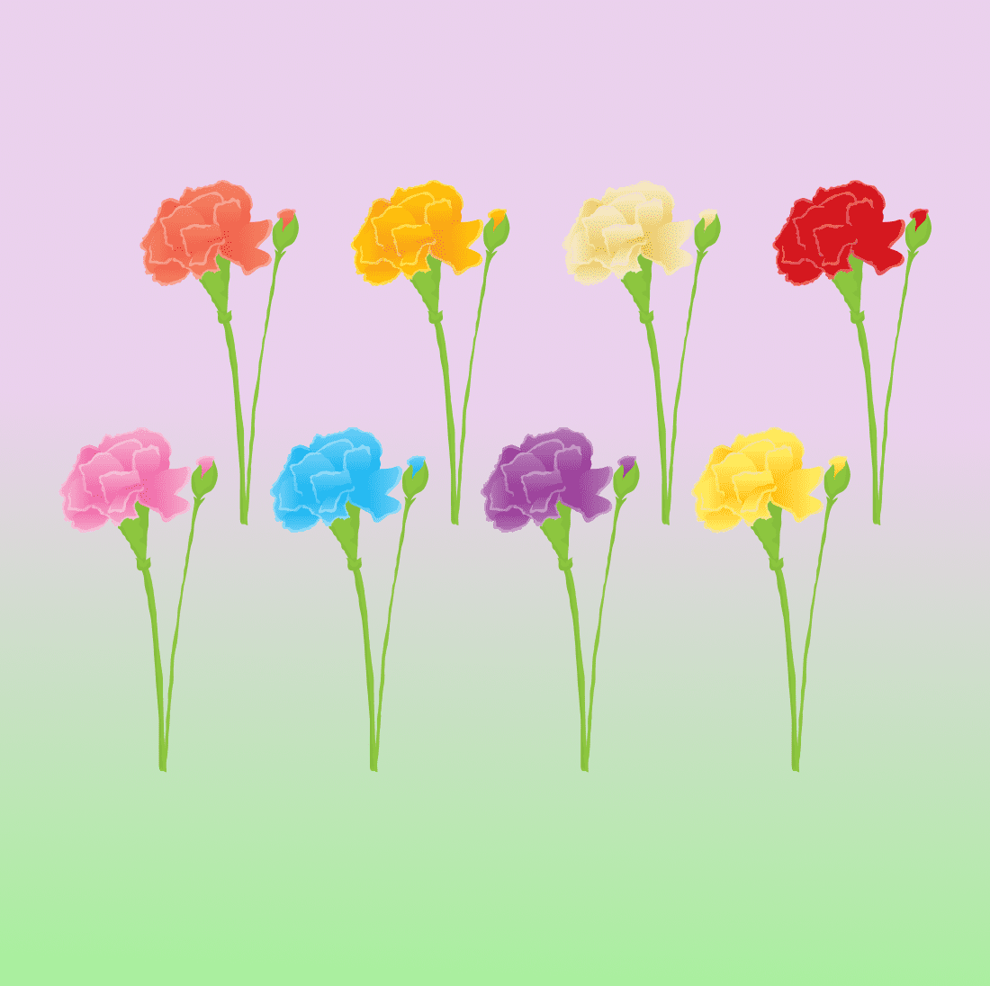 Colorful SVG carnations on a pastel background.