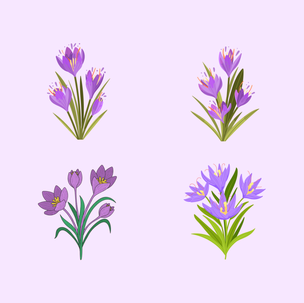 Crocus SVG Designs – MasterBundles