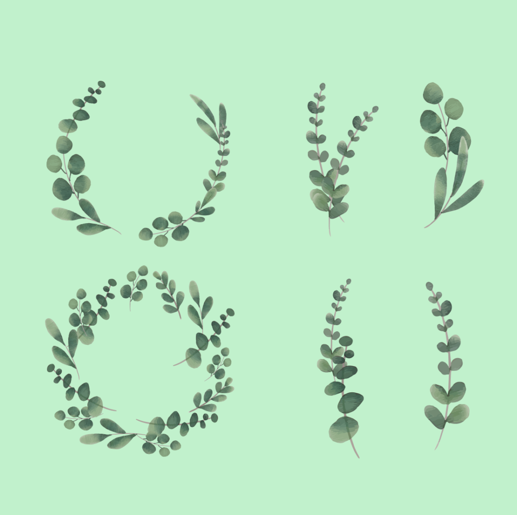 Eucalyptus SVG Free – MasterBundles