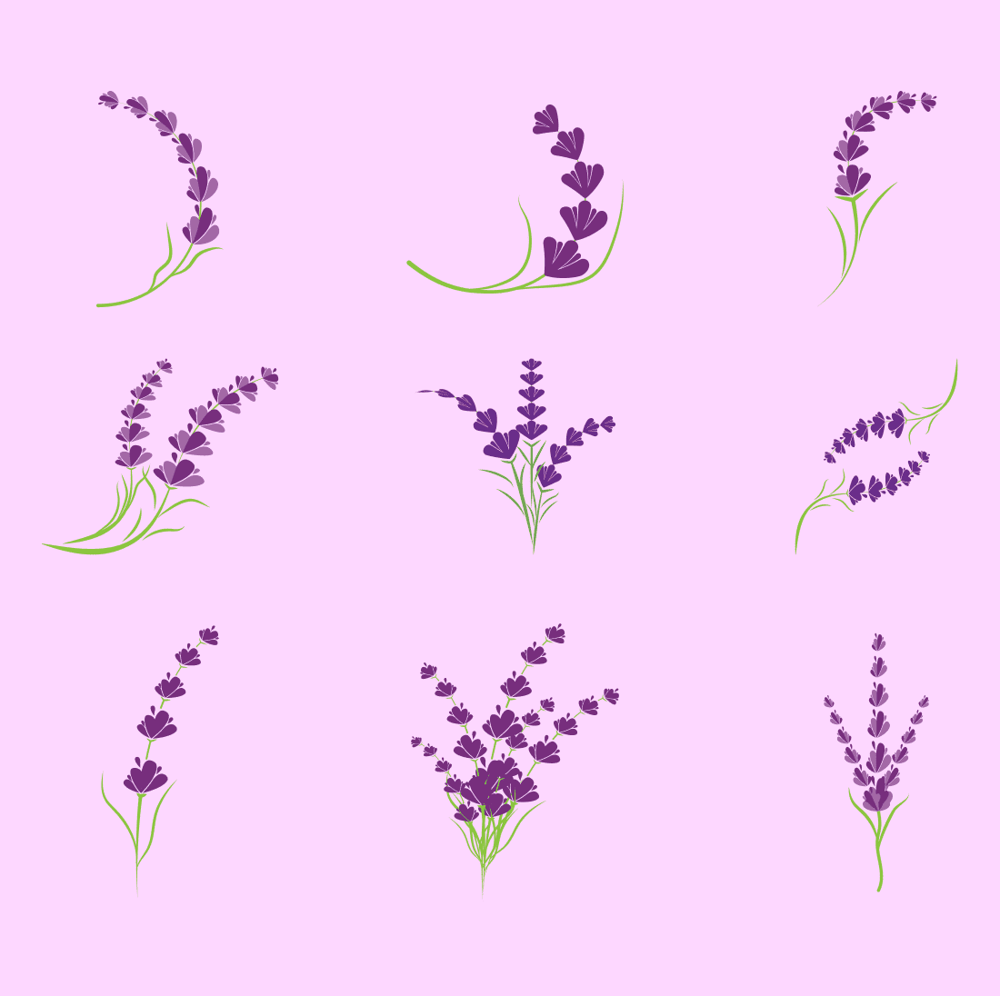 Violet sprigs of lavender are drawn on a light pink background.