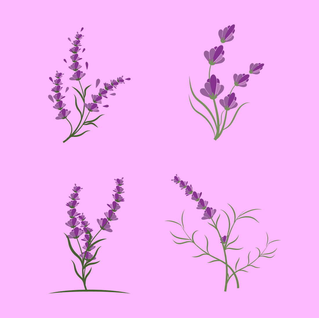 Lavender flowers with large and small flowers drawn on a pink background