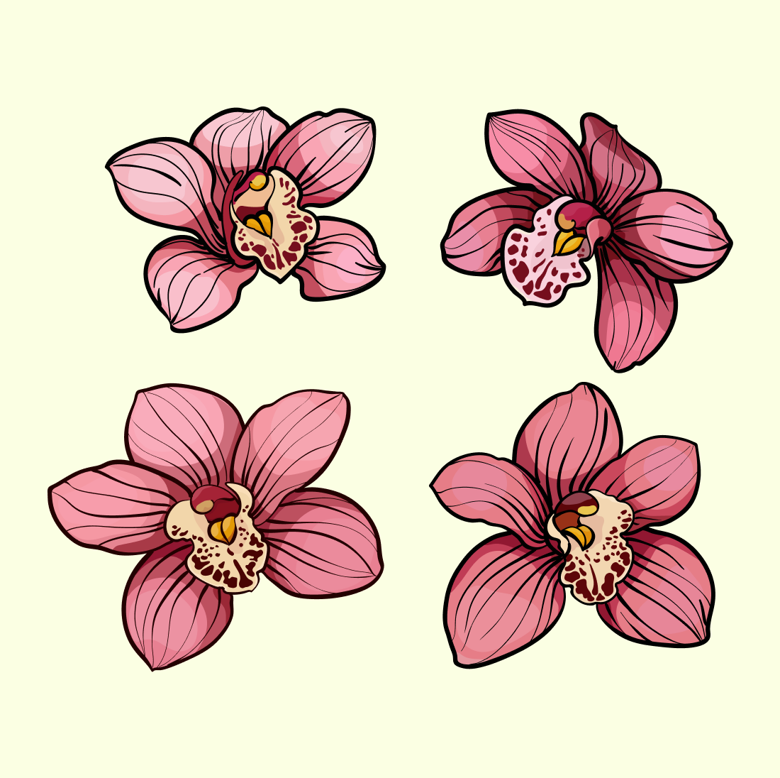 Preview illustrations orchid bundle.