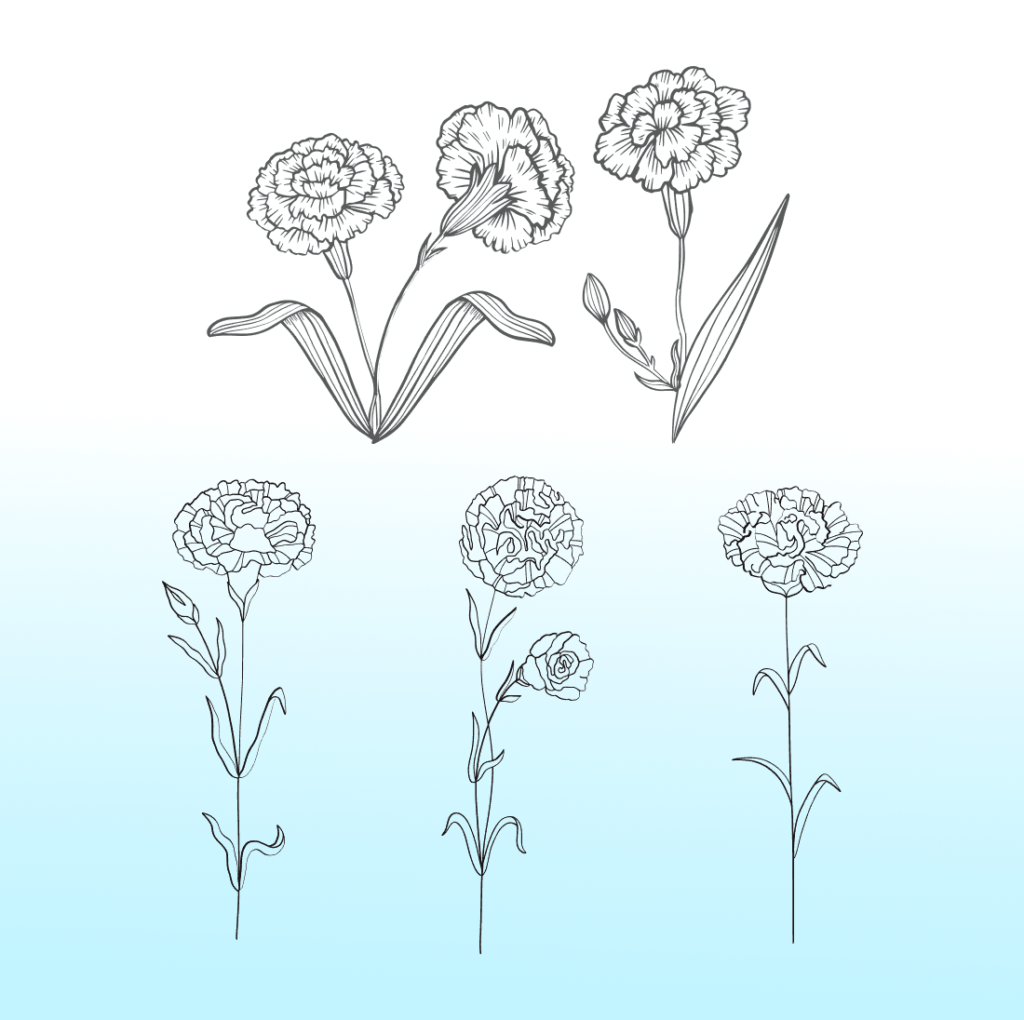 Outline Carnation SVG – MasterBundles
