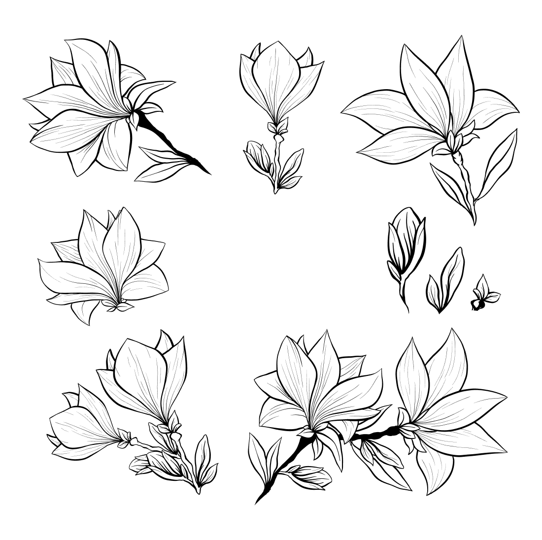Preview illustrations outline magnolia svg bundle.