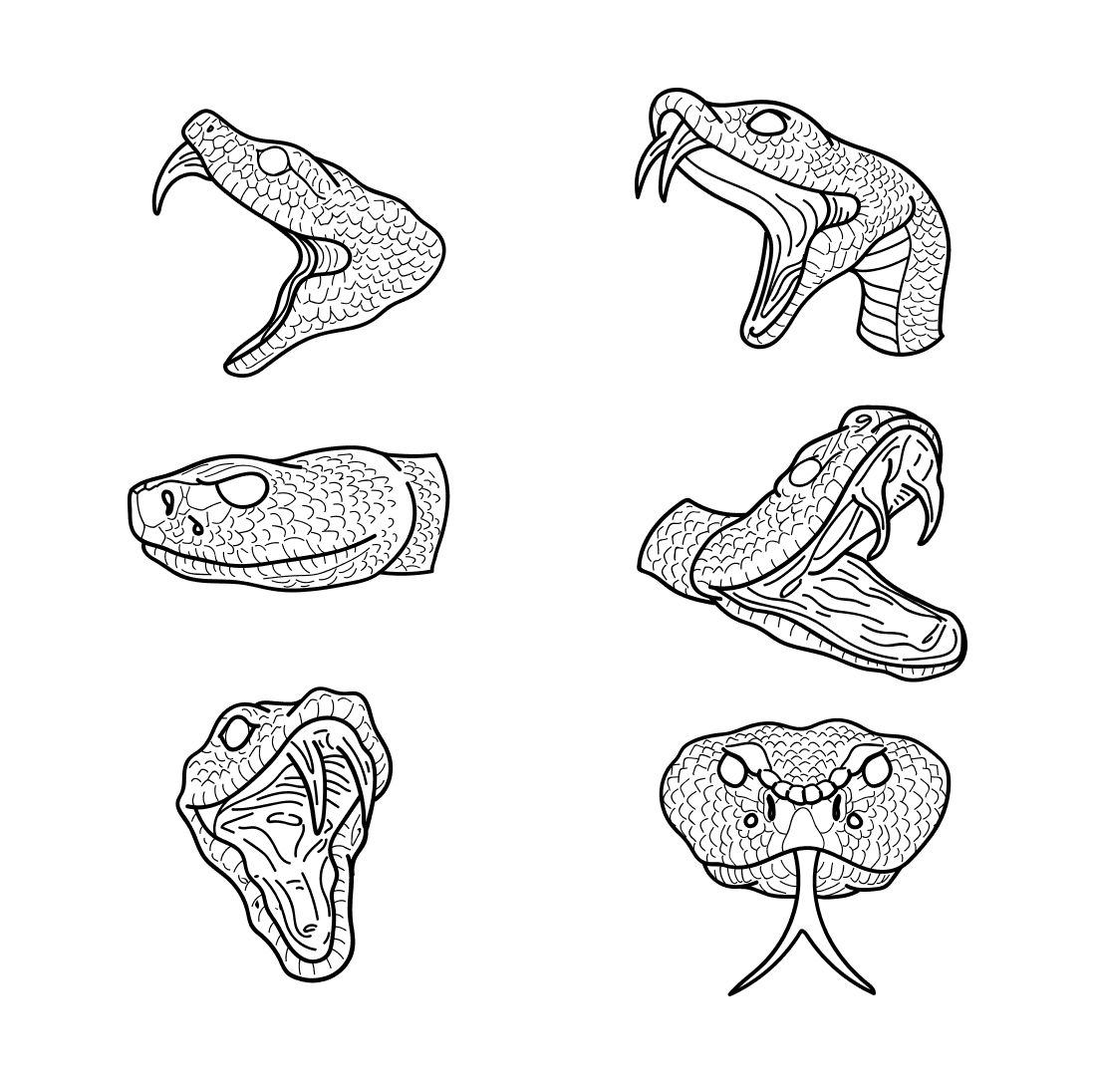 Set of four different types of snakes.