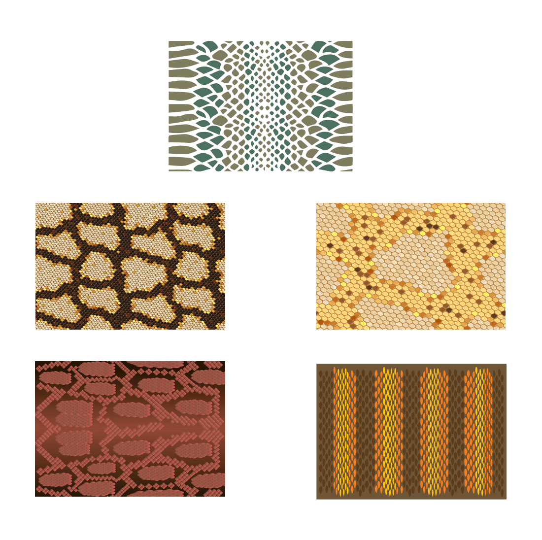 Group of different patterns on a white background.