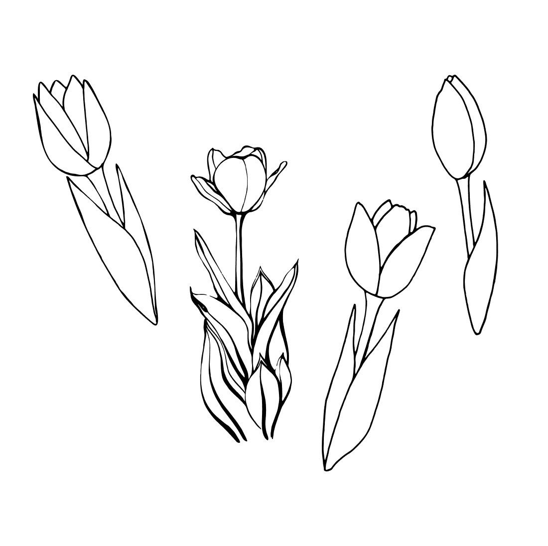 Tulip outline svg bundle, second picture 1100x1100.