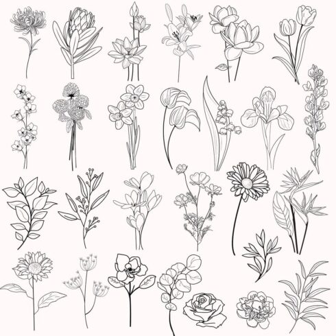 Flower SVG Clipart – MasterBundles