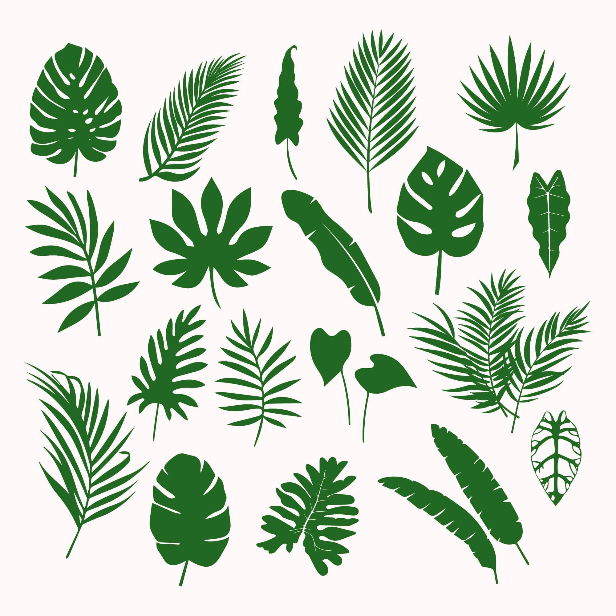 Green tropical leaves from different plants.