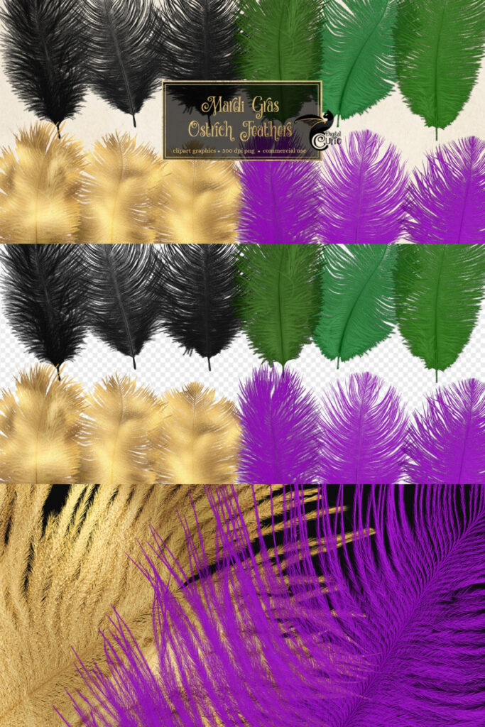 mardi gras ostrich feathers