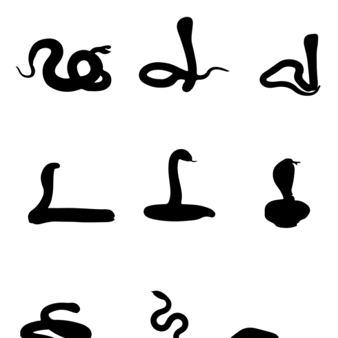 Silhouette Snake SVG – MasterBundles