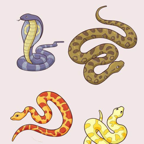 Snake SVG Files – MasterBundles