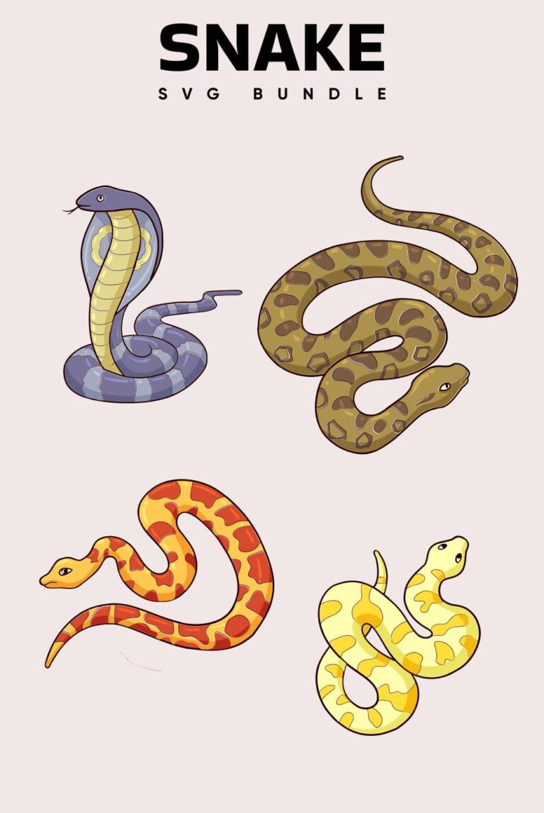 Snake SVG Files – MasterBundles