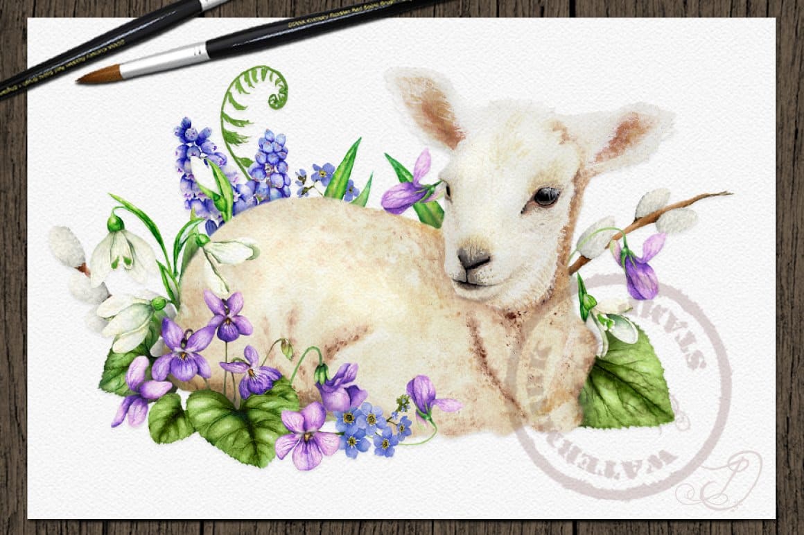 Watercolor drawing of an Easter lamb close-up on a white background.