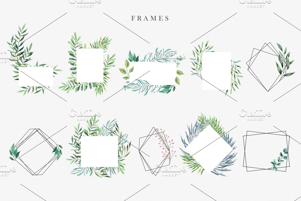 Frames with plants and needles.
