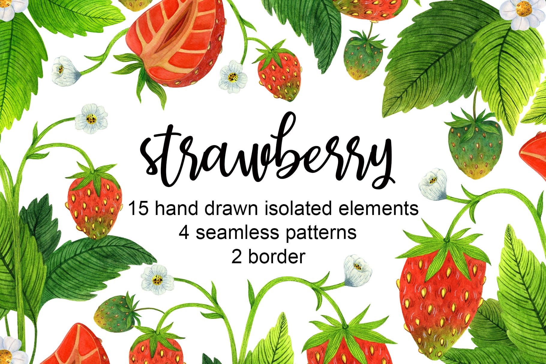 Summer strawberries drawn on a white background.