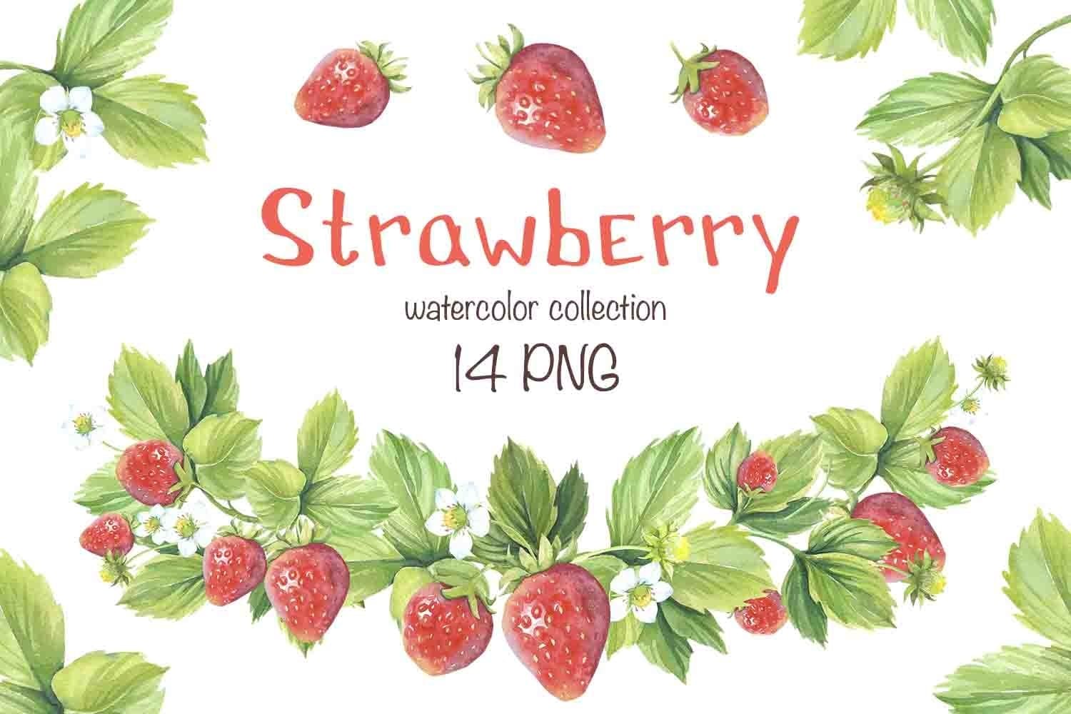14 PNG files of Watercolor Strawberry Collection.