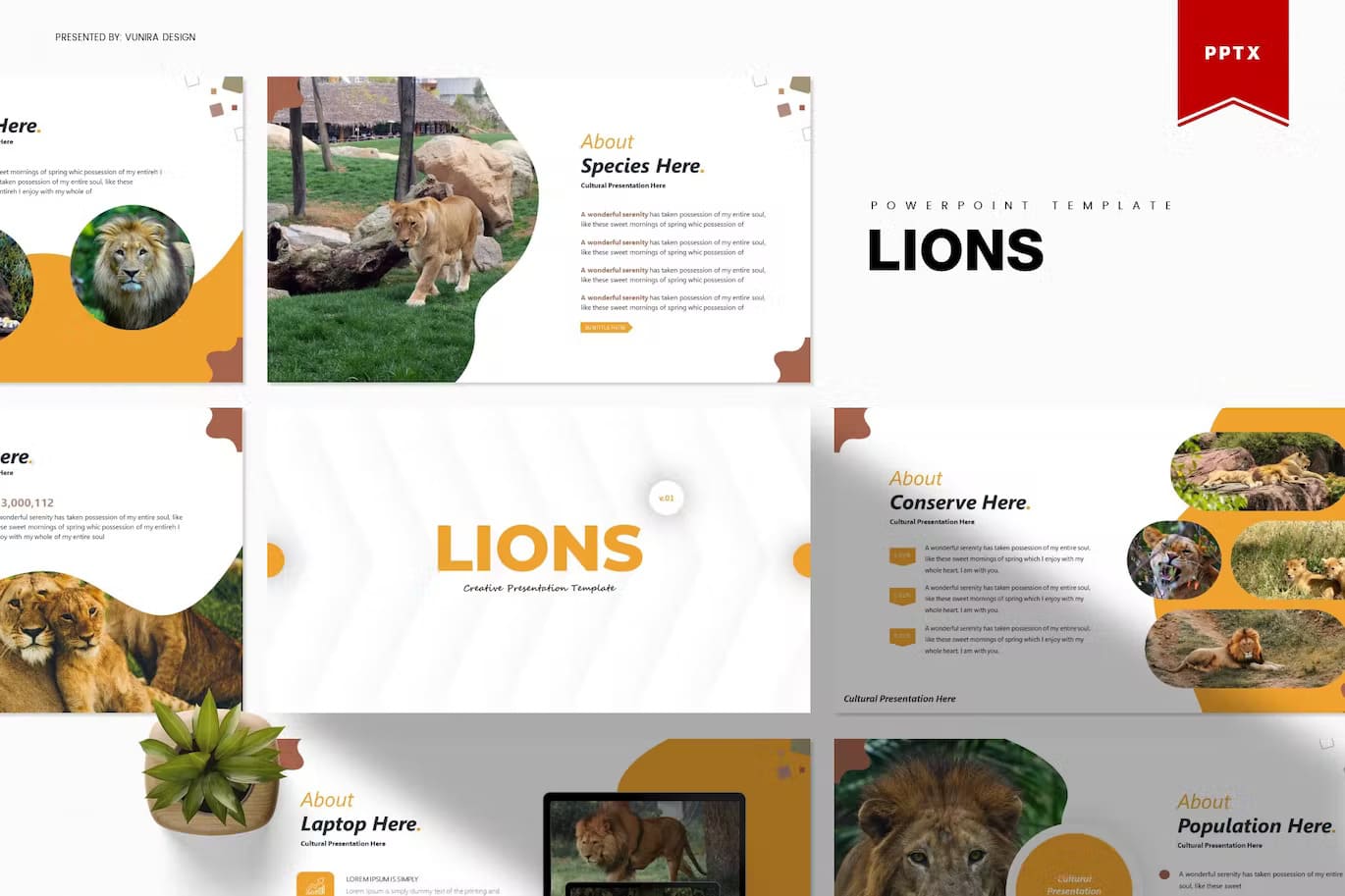 Population of Lions creative presentation template.