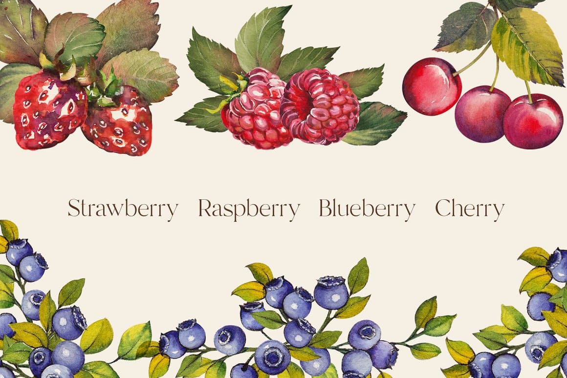 Strawberries, raspberries, cherries, blueberries painted in watercolor on a white background.