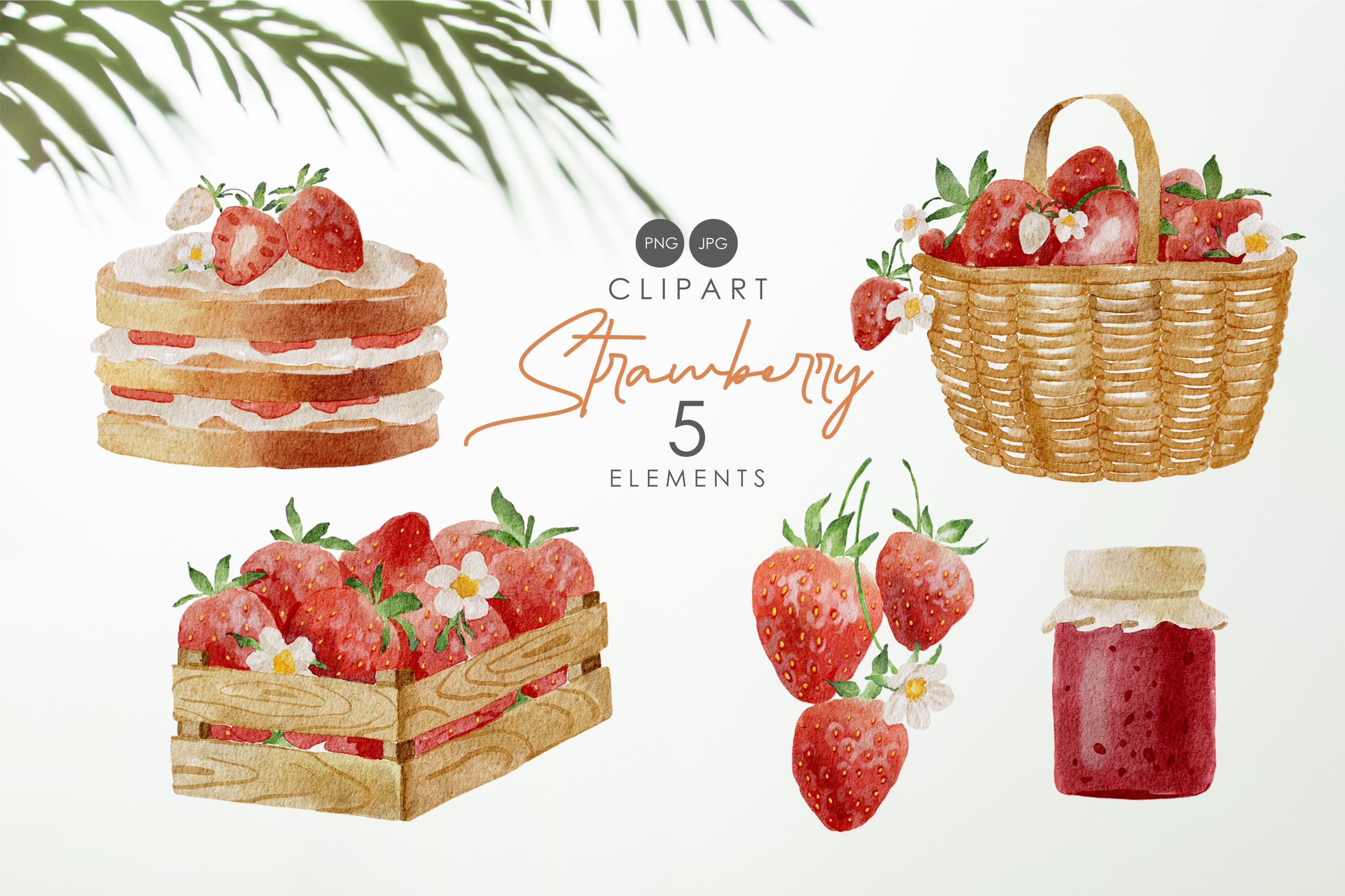 5 elements of strawberry clipart.