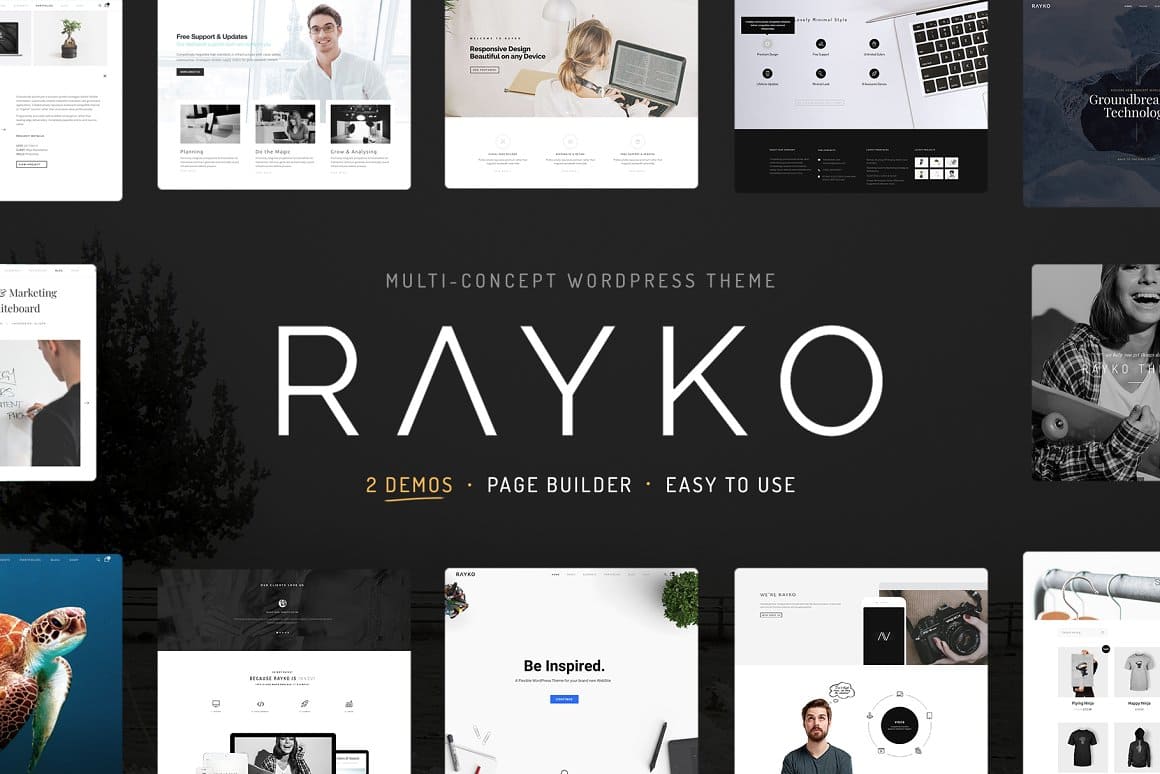 2 demos and page builder of Rayko multi concept wordpress theme.