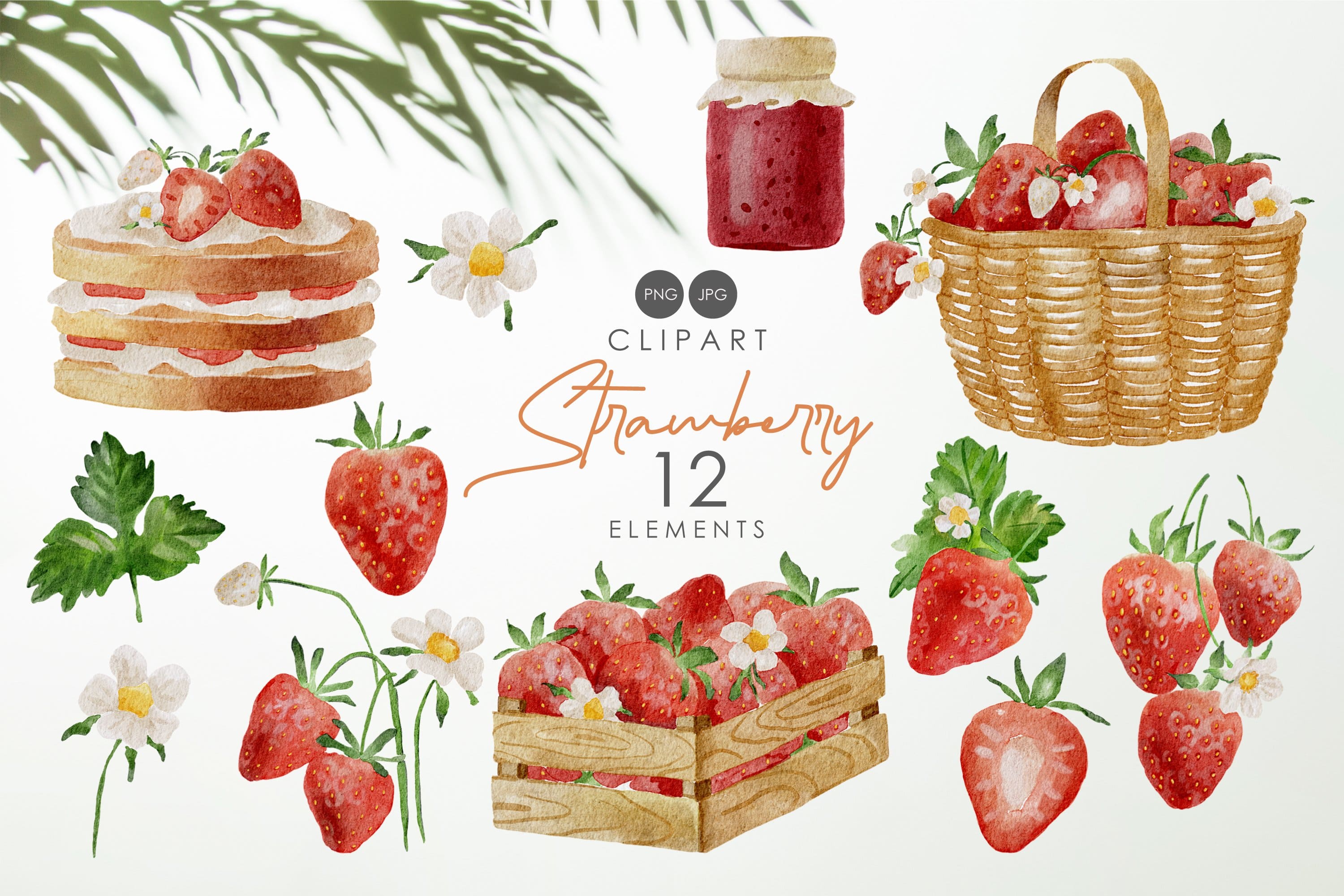 Watercolor Strawberry Clipart, Fruits Elements.