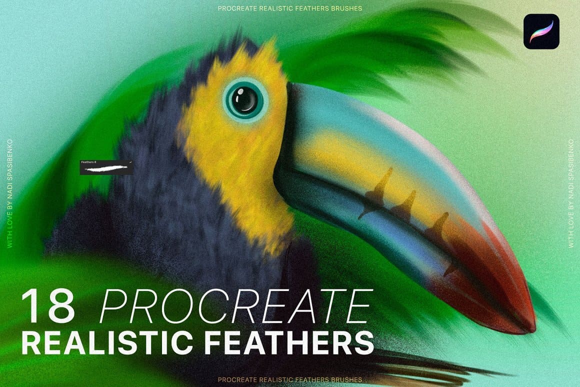 18 Procreate realistic feathers.