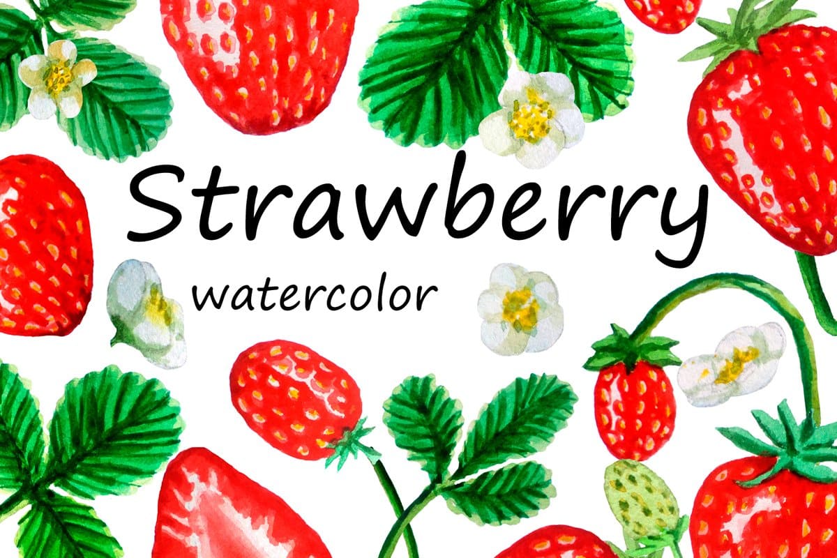Watercolor strawberry with delicate details.