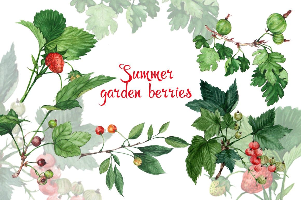 Watercolor Garden Berries.