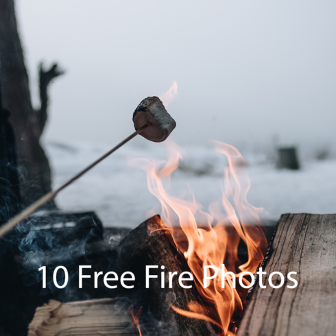 10 free fire photos 704