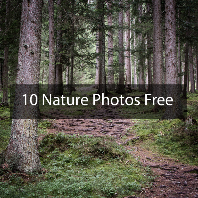 10 Nature Photos Free – MasterBundles