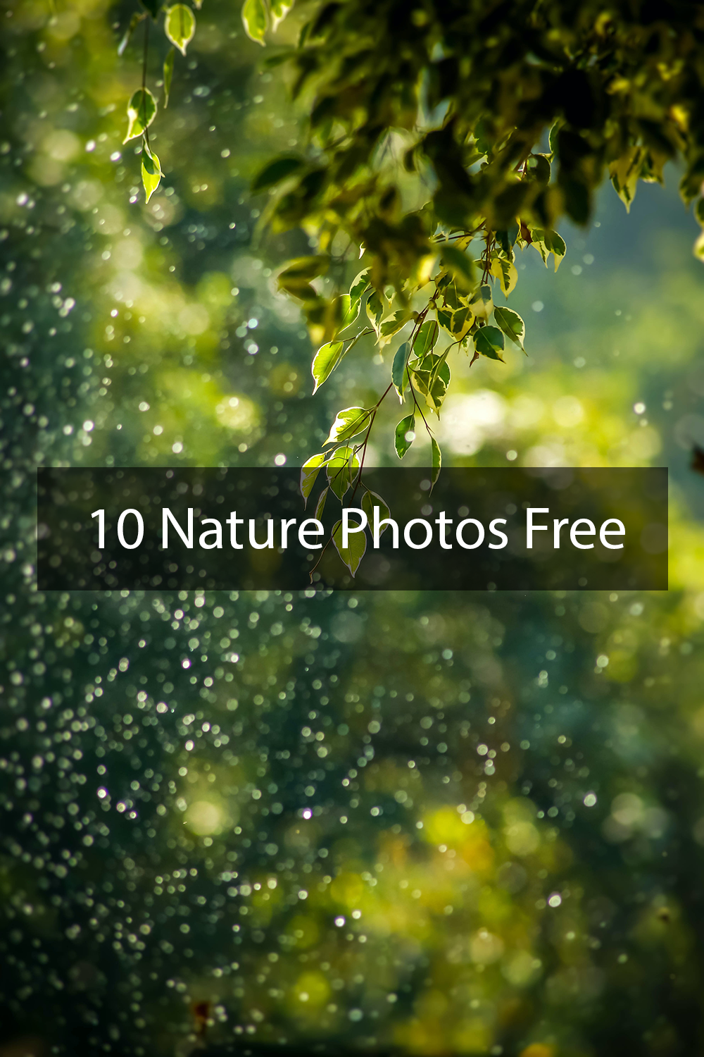 10 nature photos free pinterest 186