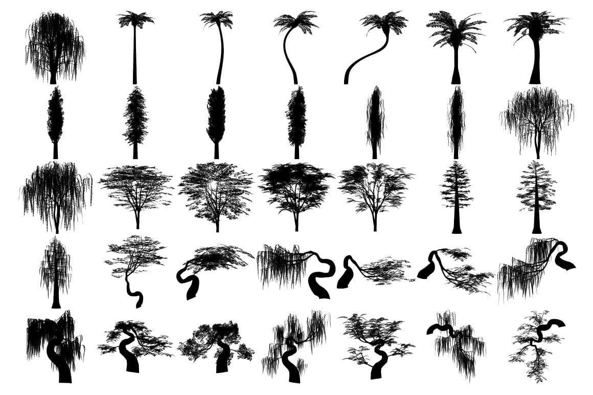 Black poplars, palm trees and other deciduous trees are drawn on a white background.