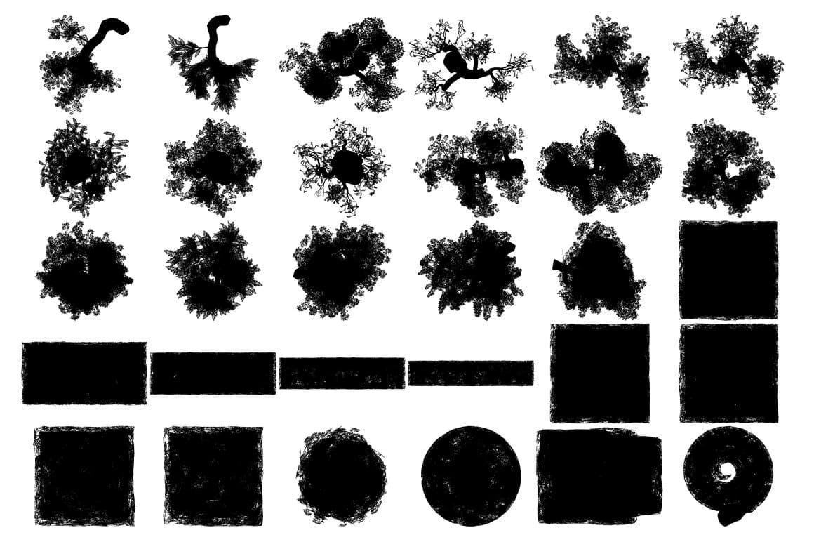 Top view of tree silhouettes.