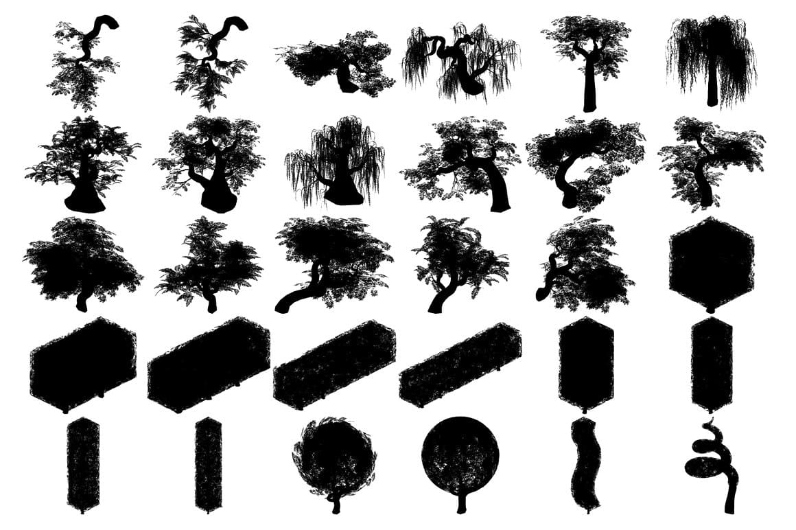Silhouettes of trees of different shapes.