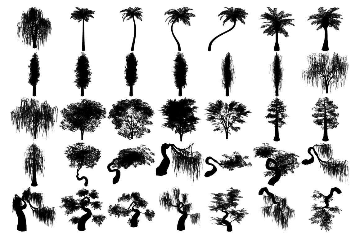 Silhouettes of trees were created with the help of brushes.