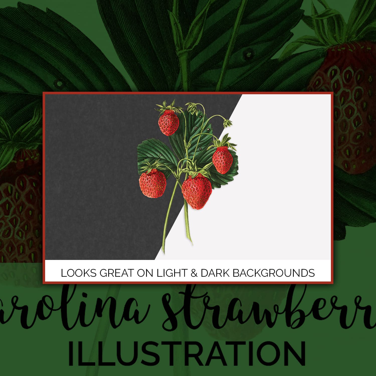 Illustration with red strawberries on a gray and white background.