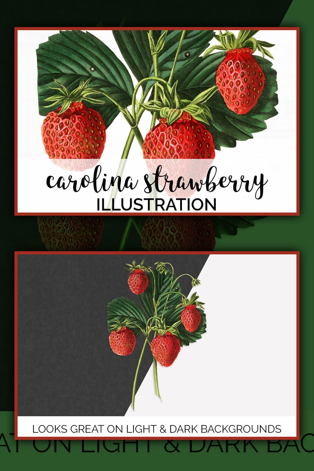 Realistic illustration of strawberries with green strawberry leaves.