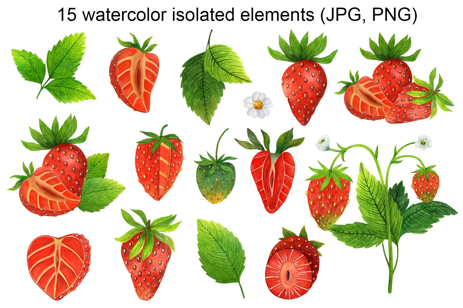 15 hand drawn isolated elements of strawberry.