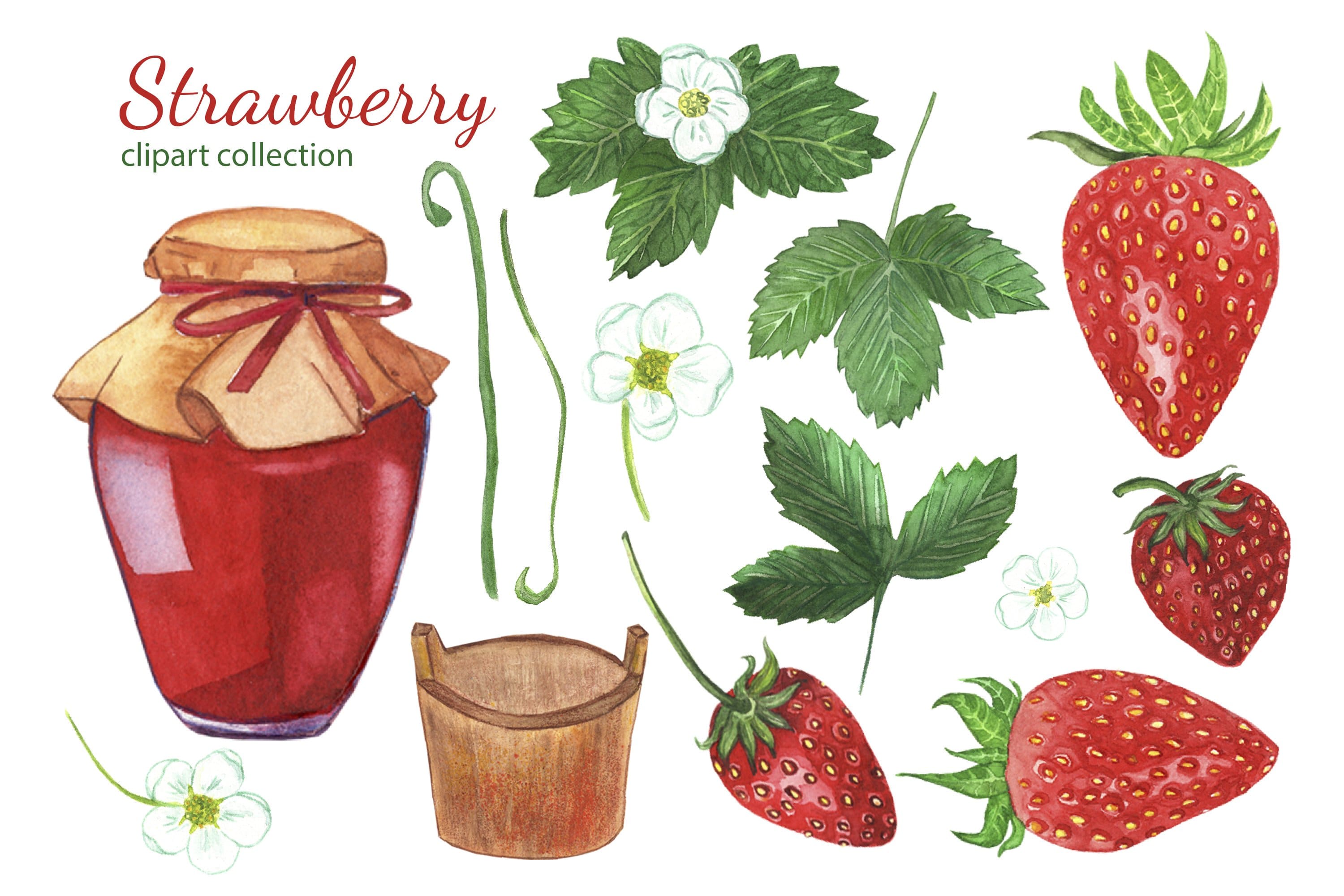 Elements of strawberry clipart collection.