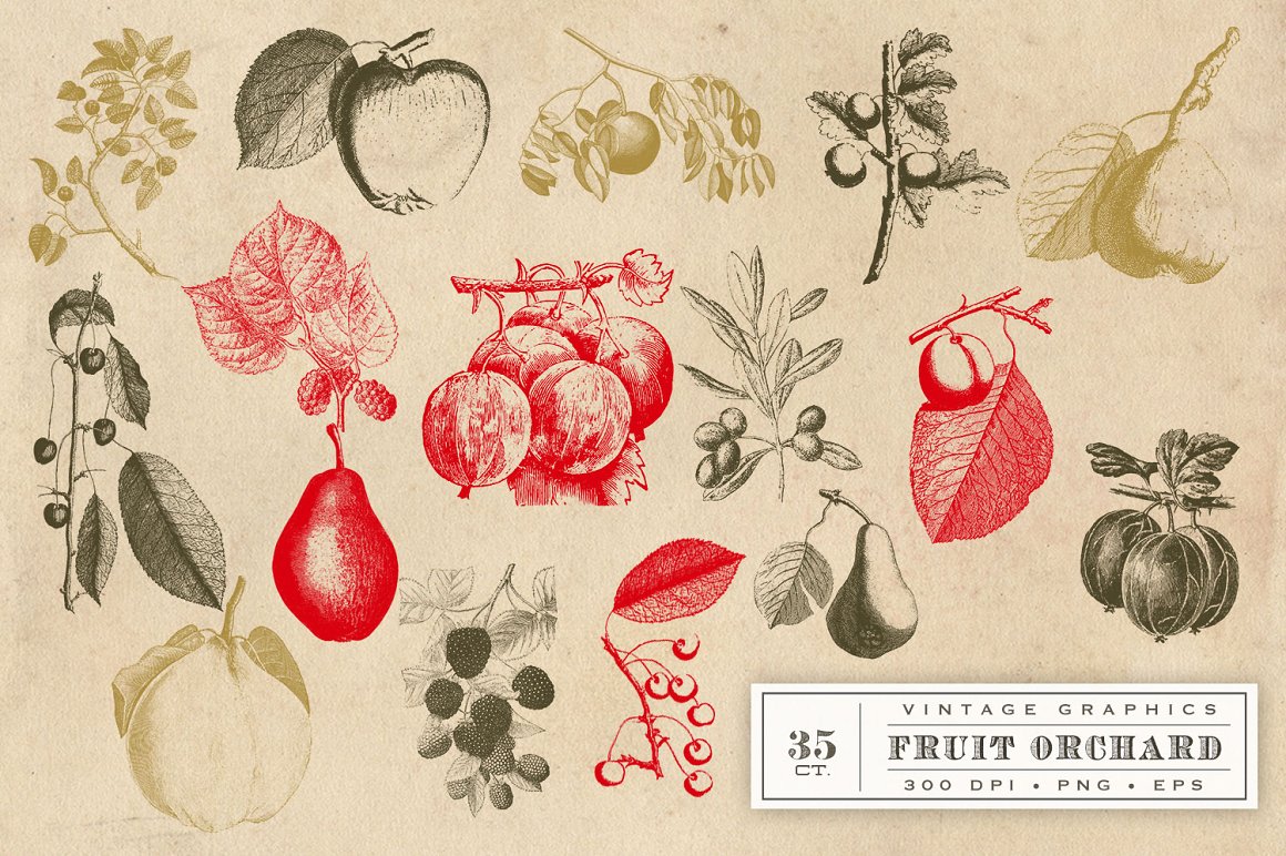 Vintage fruits in red, gray and olive colors.