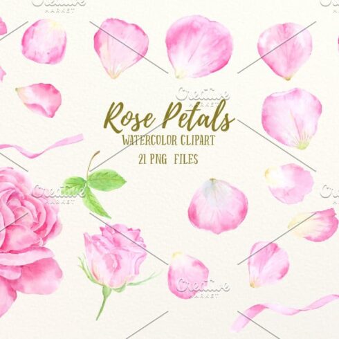 Watercolor Pink Rose Petals Clip Art | MasterBundles